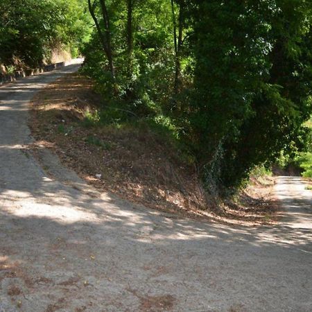 A'Loro B&B Terranuova Bracciolini Dış mekan fotoğraf
