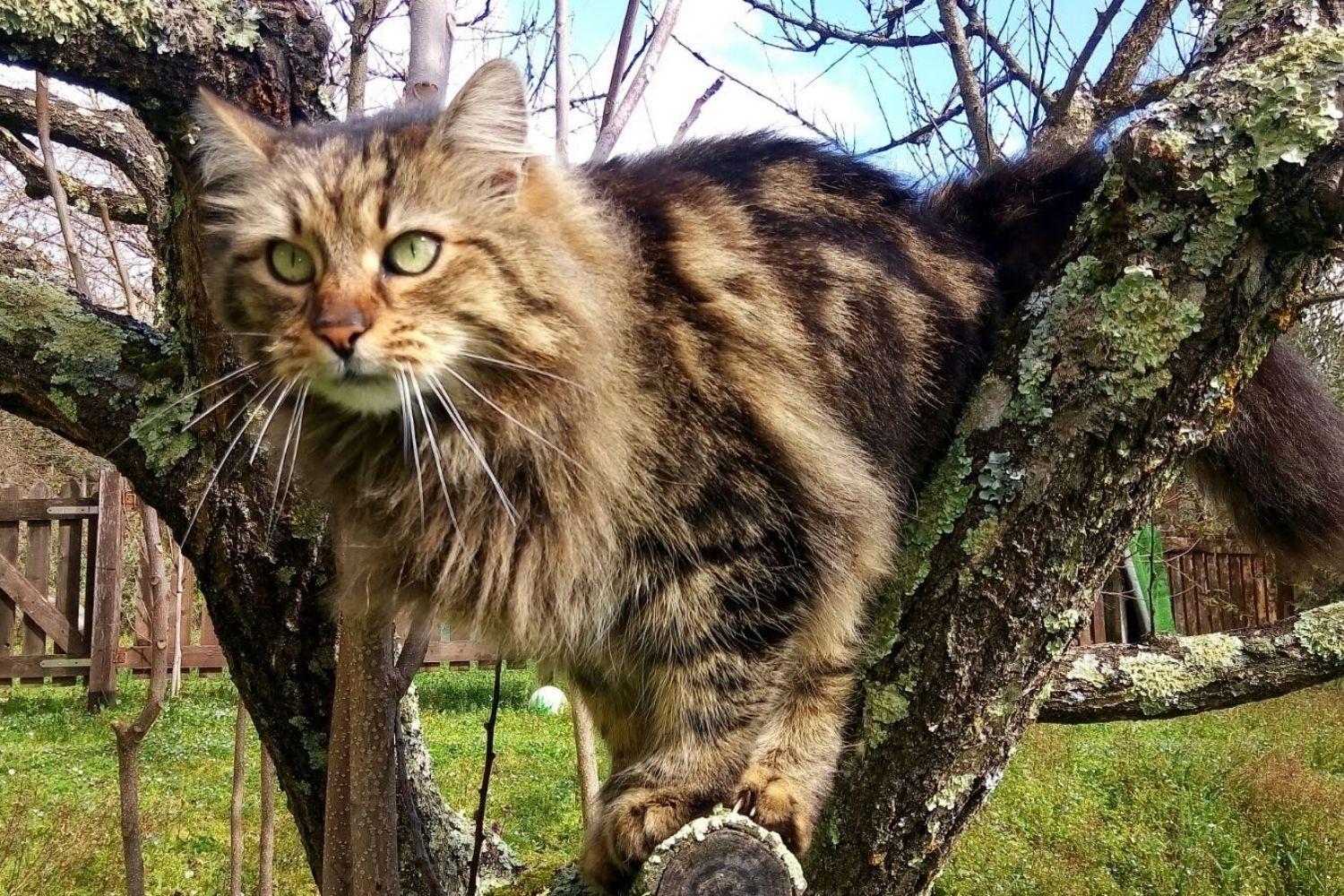 A'Loro B&B Terranuova Bracciolini Dış mekan fotoğraf