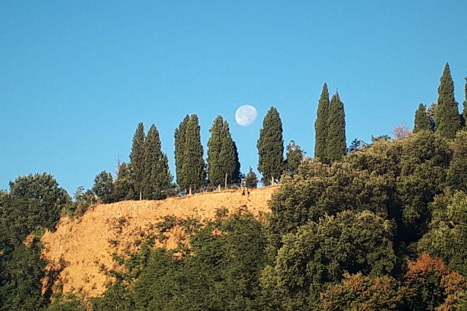 A'Loro B&B Terranuova Bracciolini Dış mekan fotoğraf